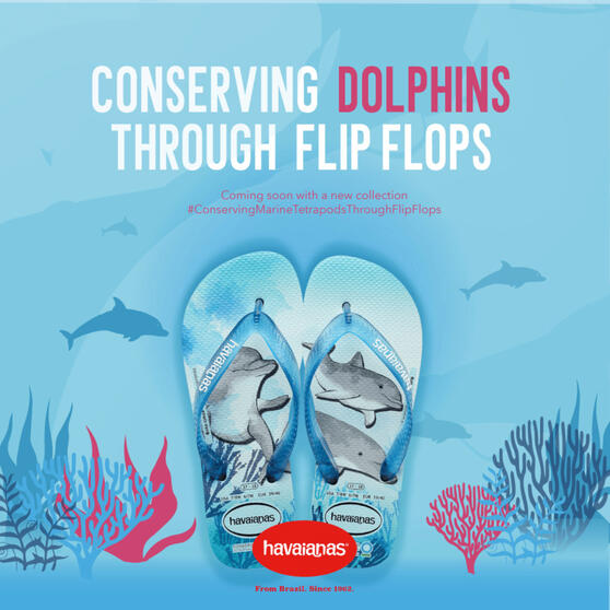 Havaianas Proposal Project